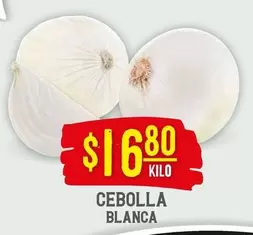 Cebolla Blanca