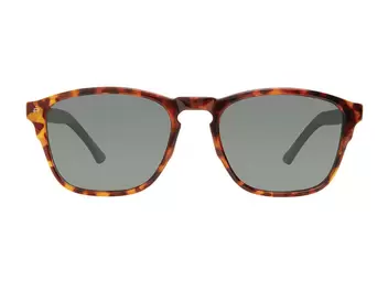 Lentes de Sol Privé Revaux THENELSON/S Havana
